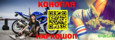 Альфа ПВП Лесосибирск