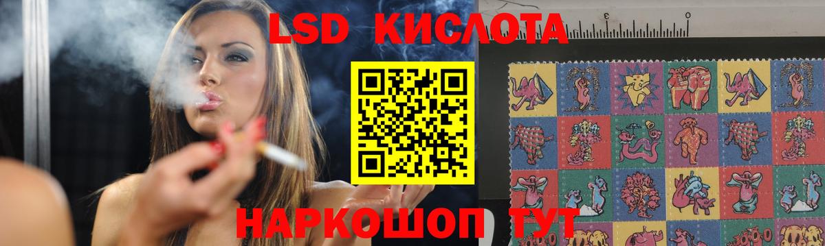 Псилоцибиновые грибы Камышин