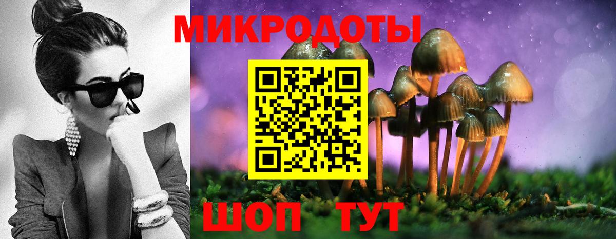 Камышин  Псилоцибиновые грибы Magic Shrooms  Галлюциногенные грибы Cubensis  Вход с VPN 